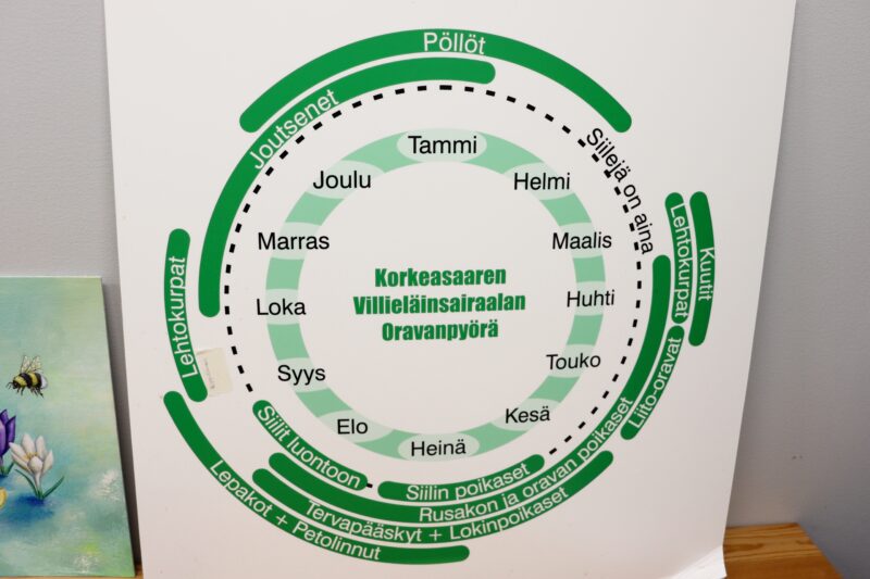 Kellotaulun muotoinen vuosikalenteri, joka kertoo milloin tiettyjä lajeja hoidetaan.